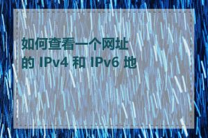 如何查看一个网址的 IPv4 和 IPv6 地址