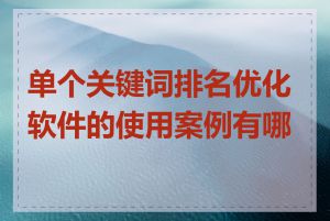 单个关键词排名优化软件的使用案例有哪些