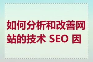 如何分析和改善网站的技术 SEO 因素