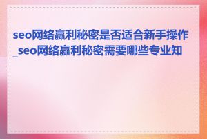 seo网络赢利秘密是否适合新手操作_seo网络赢利秘密需要哪些专业知识