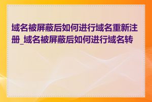 域名被屏蔽后如何进行域名重新注册_域名被屏蔽后如何进行域名转移