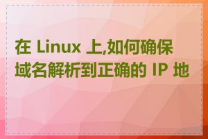 在 Linux 上,如何确保域名解析到正确的 IP 地址