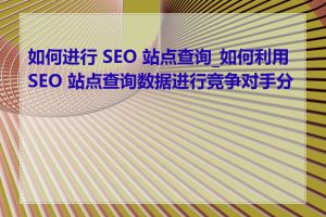 如何进行 SEO 站点查询_如何利用 SEO 站点查询数据进行竞争对手分析