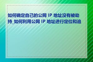 如何确定自己的公网 IP 地址没有被劫持_如何利用公网 IP 地址进行定位和追踪