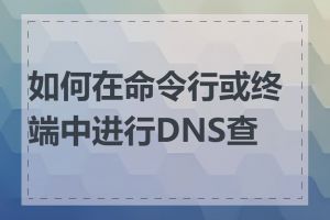 如何在命令行或终端中进行DNS查询