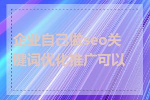 企业自己做seo关键词优化推广可以吗