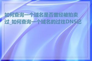 如何查询一个域名是否曾经被拍卖过_如何查询一个域名的过往DNS记录