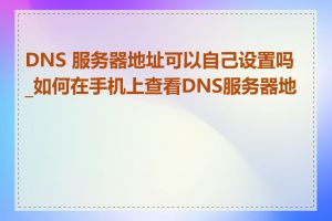 DNS 服务器地址可以自己设置吗_如何在手机上查看DNS服务器地址