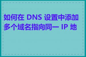 如何在 DNS 设置中添加多个域名指向同一 IP 地址