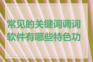 常见的关键词调词软件有哪些特色功能