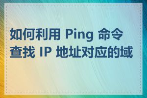 如何利用 Ping 命令查找 IP 地址对应的域名