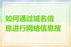 如何通过域名信息进行网络信息搜索