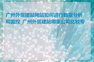 广州外贸建站网站如何进行数据分析和监控_广州外贸建站哪家公司比较专业