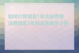 如何计算域名1年注册费用_注册域名1年应该准备多少预算