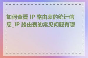 如何查看 IP 路由表的统计信息_IP 路由表的常见问题有哪些