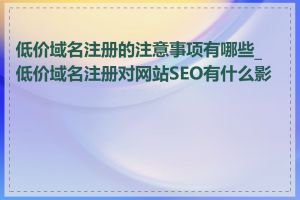 低价域名注册的注意事项有哪些_低价域名注册对网站SEO有什么影响