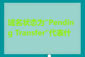 域名状态为"Pending Transfer"代表什么