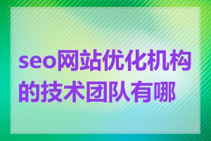 seo网站优化机构的技术团队有哪些