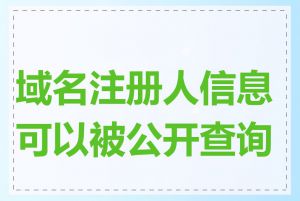 域名注册人信息可以被公开查询吗