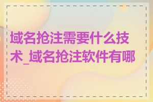 域名抢注需要什么技术_域名抢注软件有哪些