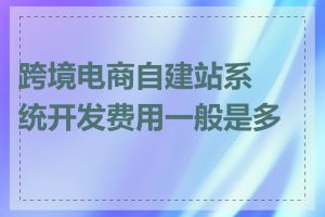 跨境电商自建站系统开发费用一般是多少