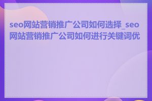 seo网站营销推广公司如何选择_seo网站营销推广公司如何进行关键词优化