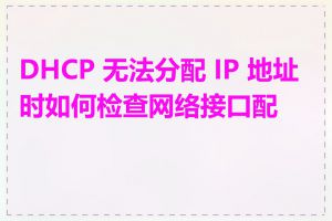 DHCP 无法分配 IP 地址时如何检查网络接口配置