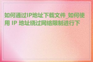 如何通过IP地址下载文件_如何使用 IP 地址绕过网络限制进行下载