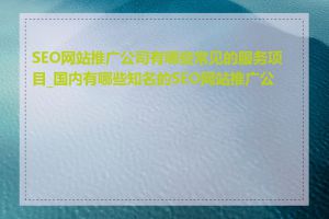 SEO网站推广公司有哪些常见的服务项目_国内有哪些知名的SEO网站推广公司