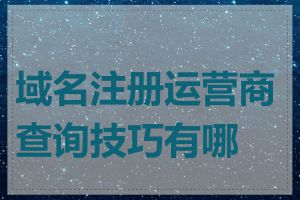 域名注册运营商查询技巧有哪些