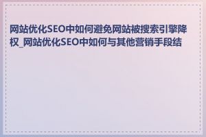 网站优化SEO中如何避免网站被搜索引擎降权_网站优化SEO中如何与其他营销手段结合