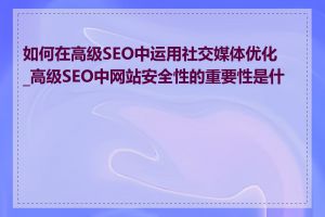 如何在高级SEO中运用社交媒体优化_高级SEO中网站安全性的重要性是什么