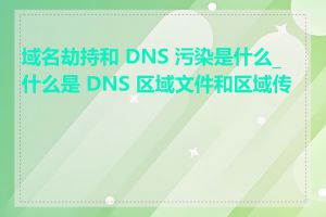 域名劫持和 DNS 污染是什么_什么是 DNS 区域文件和区域传送