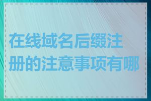 在线域名后缀注册的注意事项有哪些