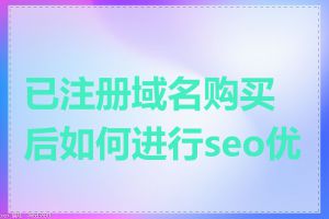 已注册域名购买后如何进行seo优化