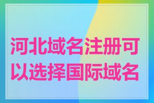 河北域名注册可以选择国际域名吗