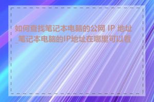 如何查找笔记本电脑的公网 IP 地址_笔记本电脑的IP地址在哪里可以看到