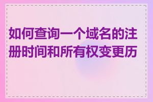 如何查询一个域名的注册时间和所有权变更历史