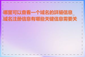 哪里可以查看一个域名的詳細信息_域名注册信息有哪些关键信息需要关注