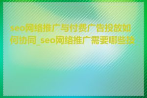 seo网络推广与付费广告投放如何协同_seo网络推广需要哪些技能