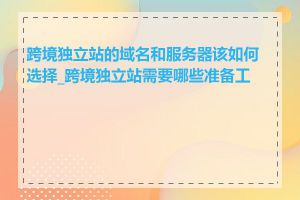 跨境独立站的域名和服务器该如何选择_跨境独立站需要哪些准备工作