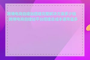 跨境电商自建站搭建完整解决方案多少钱_跨境电商自建站平台搭建总成本通常是多少