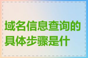 域名信息查询的具体步骤是什么