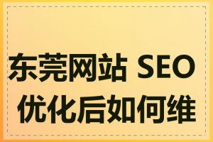 东莞网站 SEO 优化后如何维护