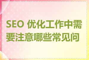 SEO 优化工作中需要注意哪些常见问题