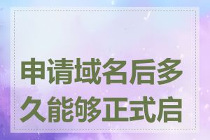 申请域名后多久能够正式启用