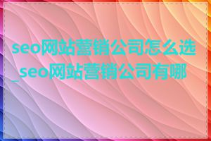 seo网站营销公司怎么选_seo网站营销公司有哪些