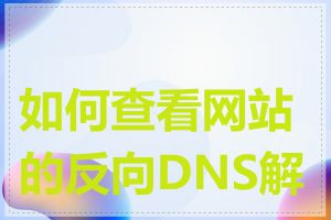 如何查看网站的反向DNS解析