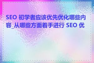 SEO 初学者应该优先优化哪些内容_从哪些方面着手进行 SEO 优化