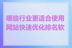 哪些行业更适合使用网站快速优化排名软件